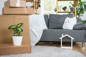 Boxes with things for moving and house plants are in the room of the new house. Housewarming, family property, cargo transportation and delivery of things photo