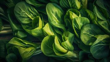 Realistic photo of a bunch of bok choy. top view vegetables scenery.