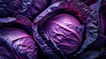 Realistic photo of a bunch of red cabbage. top view vegetables scenery.