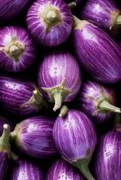 Realistic photo of a bunch of rosa bianca eggplant. top view vegetables scenery. AI Generated