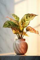 Realistic photo of a Tropical plant in a marble vase. with natural light condition. AI Generated