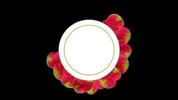 Circle frames with flowers animation video