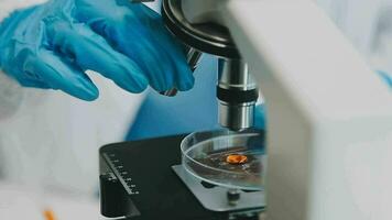 hand of scientist with test tube and flask in medical chemistry lab blue banner background video