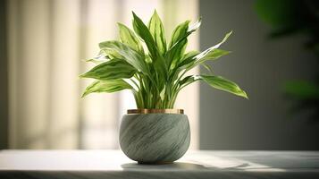 Realistic photo of a Tropical plant in a marble vase. with natural light condition. AI Generated