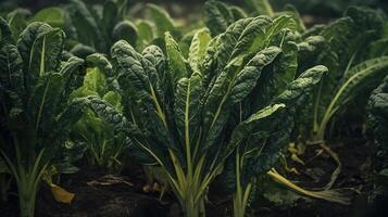 Realistic photo of a bunch of silverbeet. top view vegetables scenery. AI Generated