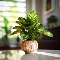 Realistic photo of a Tropical plant in a marble vase. with natural light condition. AI Generated