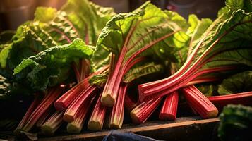 Realistic photo of a bunch of rhubarb. top view vegetables scenery. AI Generated