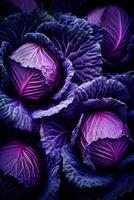 Realistic photo of a bunch of red cabbage. top view vegetables scenery. AI Generated