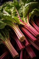 Realistic photo of a bunch of rhubarb. top view vegetables scenery. AI Generated