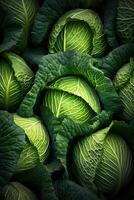 Realistic photo of a bunch of green cabbage. top view vegetables scenery.
