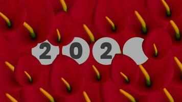 New year 2024 with flowers, animation concept of increasing personal growth in the year of the dragon video