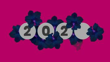 New year 2024 with flowers, animation concept of increasing personal growth in the year of the dragon video