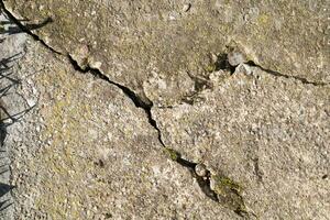 Cracked and abstract grunge texture. Aged material surface backdrop. Weathered effect pattern. Old and dirty background. photo