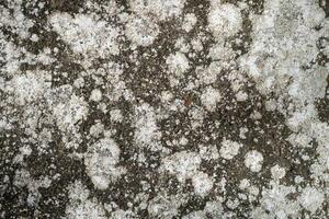 Cracked and abstract grunge texture. Aged material surface backdrop. Weathered effect pattern. Old and dirty background. photo