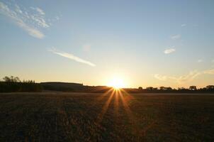 Sunrise and summer field photo