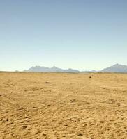 Sahara desert rocks and mountains photo