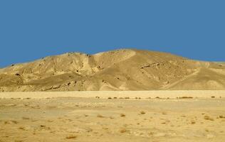 Sahara desert dunes and sand hills photo