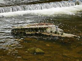 Water in nature, little waterfall on the river with pure water and stones photo