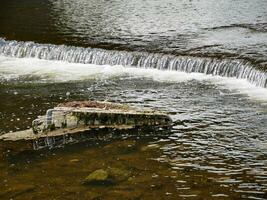 Water in nature, little waterfall on the river with pure water and stones photo