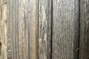 Wooden wall texture photo