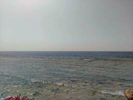 Red sea in Egypt natural background photo