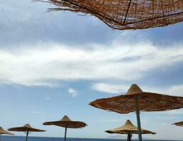 Solar umbrellas on the beach photo