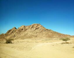 Desert land with mountains and sea photo