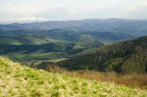 Mountains and forests photo