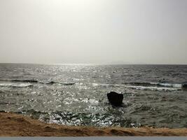 Red sea lit by summer sun of Egypt photo