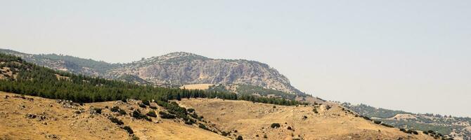 turco montañas y verde bosque panorama foto