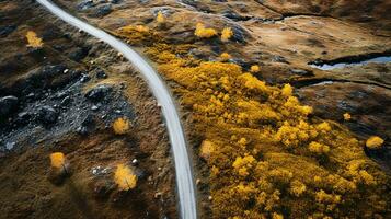 Top down aerial view of winding forest road in green mountain spruce woods. Generative AI photo