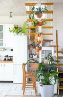 Modular metal staircase with wooden steps in the white interior of a green house with potted plants, hanging flowerpot, lampshade photo