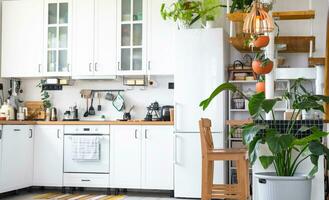 The general plan of a light white modern rustic kitchen with a modular metal staircase decorated with potted plants. Interior of a house with homeplants photo