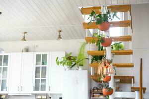 modular metal escalera con de madera pasos en el blanco interior de un verde casa con en conserva plantas, colgando maceta, pantalla de lámpara foto