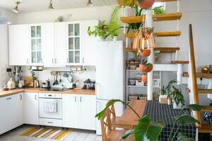 The general plan of a light white modern rustic kitchen with a modular metal staircase decorated with potted plants. Interior of a house with homeplants photo