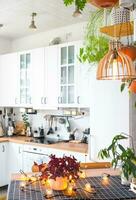 Light white modern rustic kitchen decorated with potted plants, loft-style kitchen utensils. Interior of a house with homeplants photo