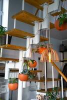 Modular metal staircase with wooden steps in the white interior of a green house with potted plants, hanging flowerpot, lampshade photo