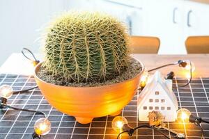 Large cactus echinocactus gruzoni in interior of the home in kitchen, illuminated by garland lamps and miniature of house project with keys. Potted plant in green house, real estate rental, insurance photo