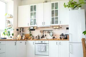 Light white modern rustic kitchen decorated with potted plants, loft-style kitchen utensils. Interior of a house with homeplants photo