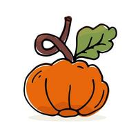 Autumn Pumpkin isolated vector illustration. Theme of harvest, food. Color Doodle single vegetable.