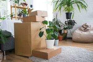 Boxes with things for moving and house plants are in the room of the new house. Housewarming, family property, cargo transportation and delivery of things photo