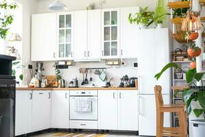 The general plan of a light white modern rustic kitchen with a modular metal staircase decorated with potted plants. Interior of a house with homeplants photo