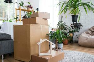 Boxes with things for moving and house plants are in the room of the new house. Housewarming, family property, cargo transportation and delivery of things photo