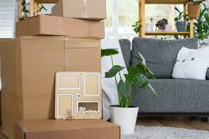 cajas con cosas para Moviente y casa plantas son en el habitación de el nuevo casa. estreno de una casa, familia propiedad, carga transporte y entrega de cosas foto