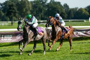 Wroclaw, Poland - Sep 10, 2023 - Jockeys competing on Wroclaw race track photo