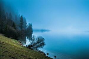 Foggy morning on the border of calm lake in Austrian Alps photo