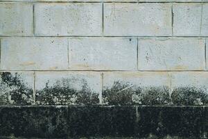 Wall white brick dirty lichen stain photo