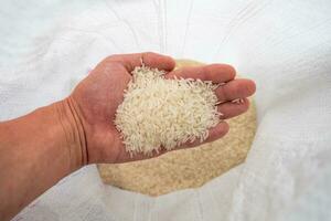 Hand scoop rice in sack package photo