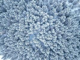 Aerial. Trees and snow in a winter forest. Nature background top view from drone photo