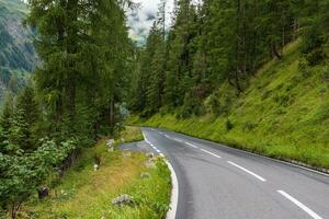 estrecho la carretera en el montañas cubierto con verde bosque foto